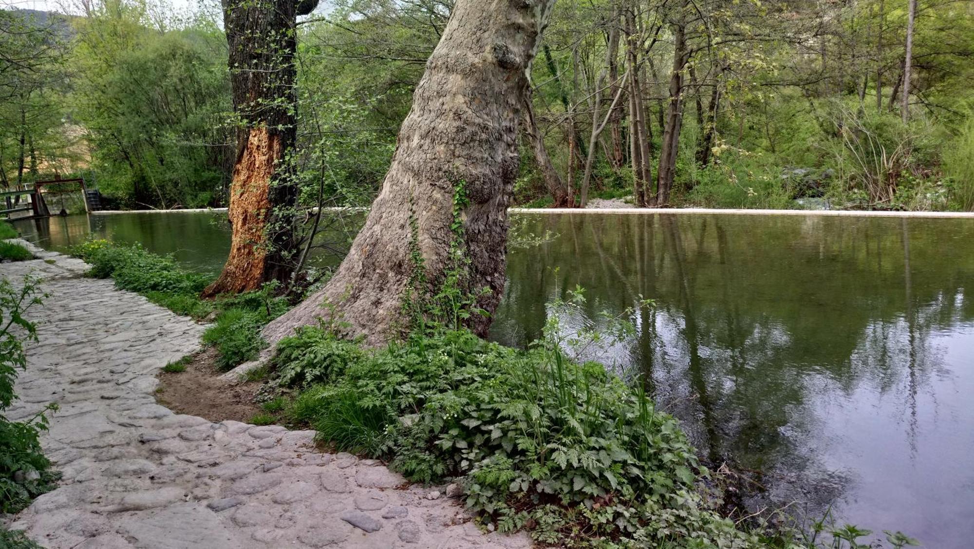 Le Moulin Aux Chandelles 2, Vacances & W-E, Vues Riviere, Montagne & Ville, Tout Confort Deconnecte, Eclairage Bougies, Connexions A 200M Au Centre Le Vigan Gite Les Amoureux De L'Arre, Randonnee Chemin De Saint-Guilhem-Le-Desert, Lire Profil Avant R Exterior photo